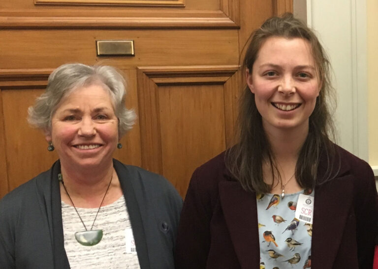 Archdiocesan Commission addresses Environment Select Committee