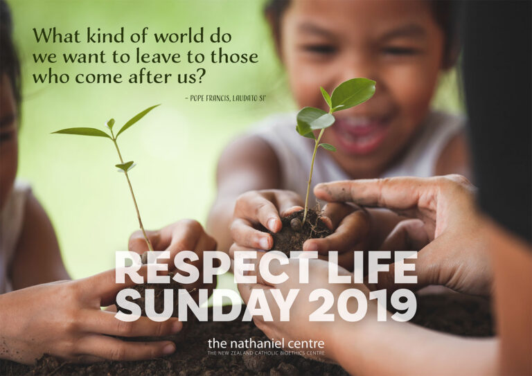Respect Life Sunday 2019 – Respect for Creation