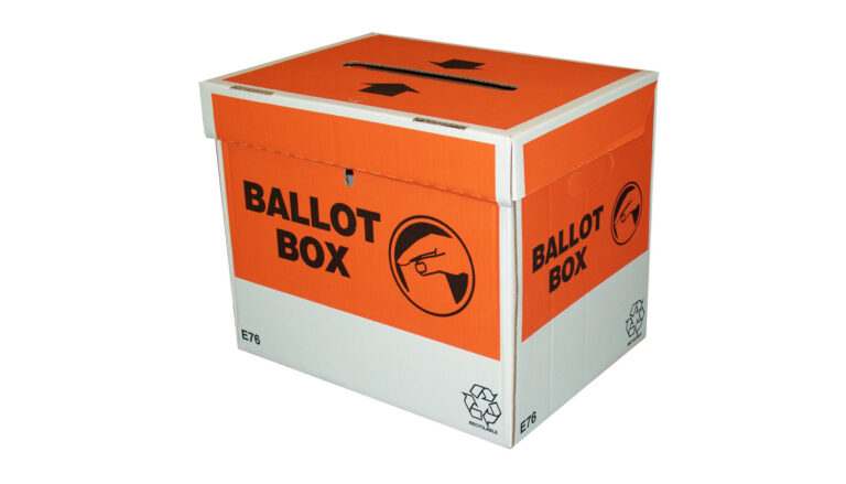 Election Year 2020
