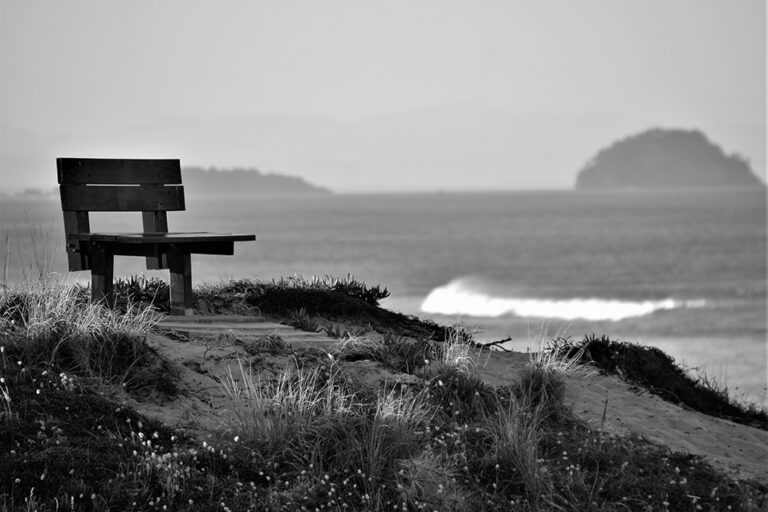 Parting Shot