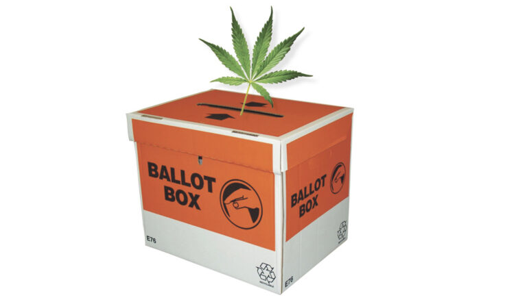 The Cannabis Referendum 2020