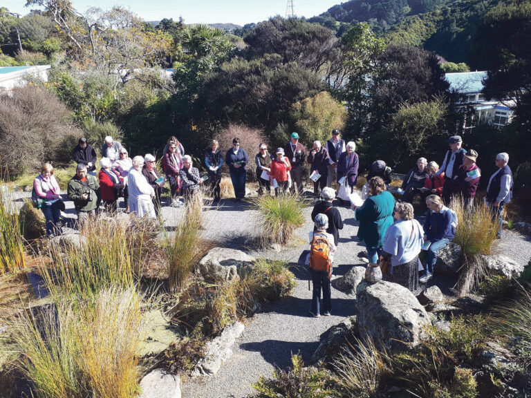 Parish communities observe Season of Creation