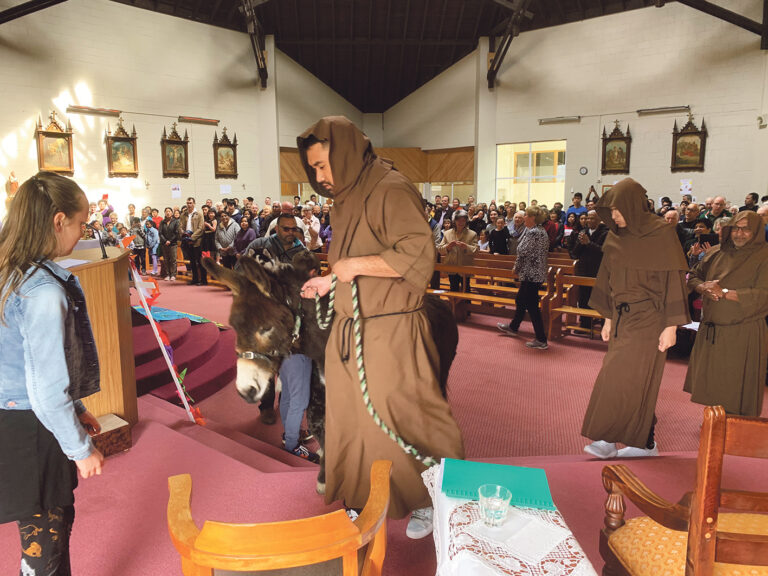 Blessing of the animals