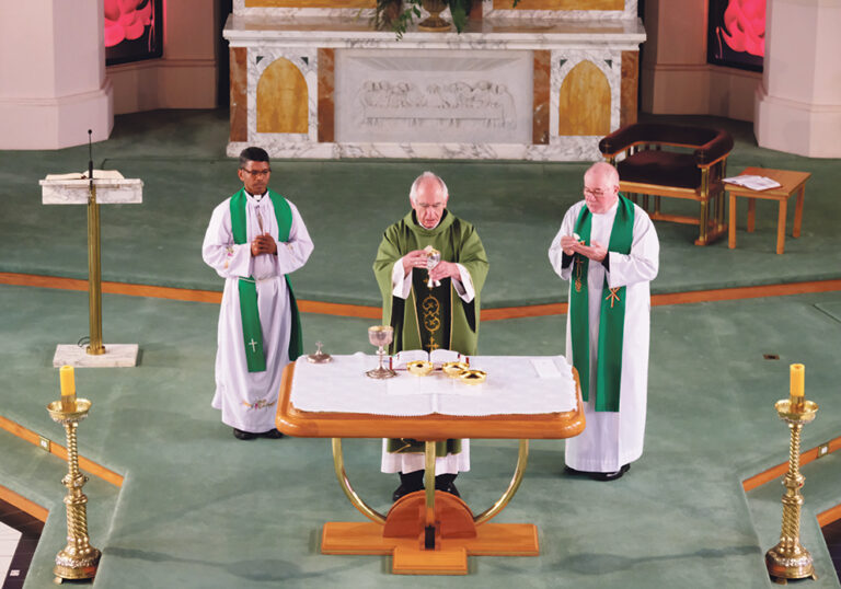 Bishops meet in Palmerston North