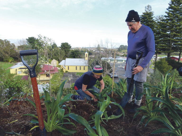 Caring for Pukekaraka