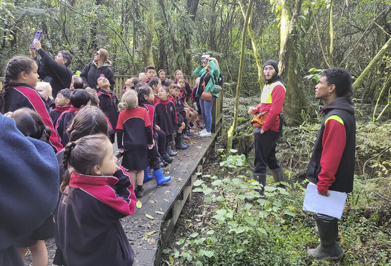 Environmental learning during Season of Creation