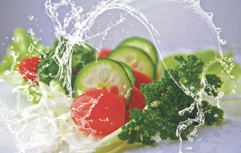 Meat-free Fridays reduce carbon emissions, study shows