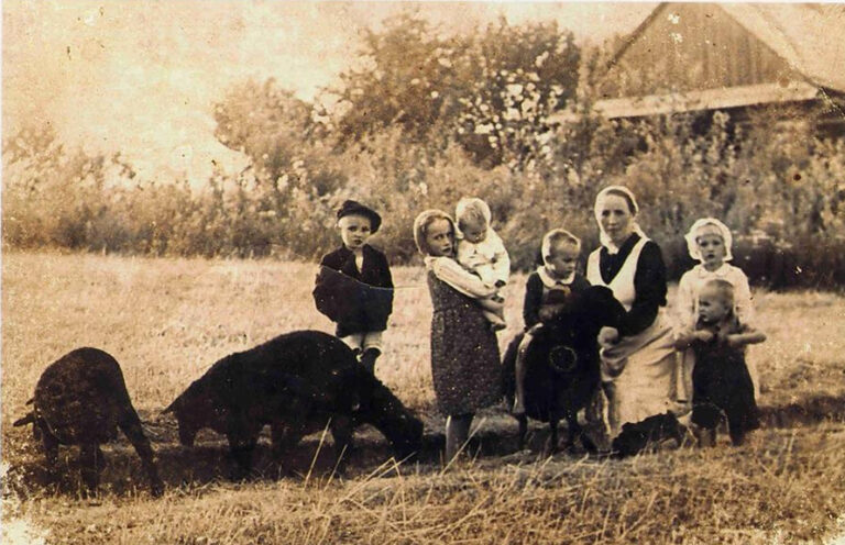 Family martyred by Nazis to be beatified