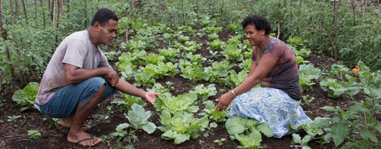 Wellington CLC supports Fiji arable training project