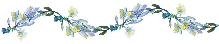 Mary month of May