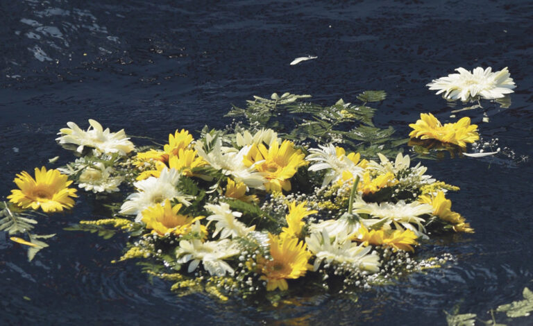 Don’t be indifferent to migrant tragedies – Pope
