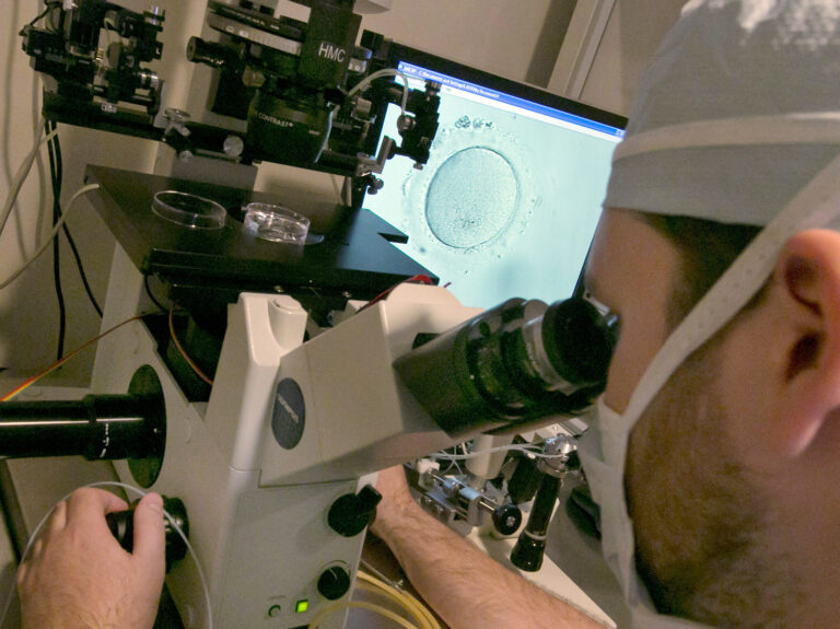 Legal right to IVF ‘deeply troubling’ – US Bishops