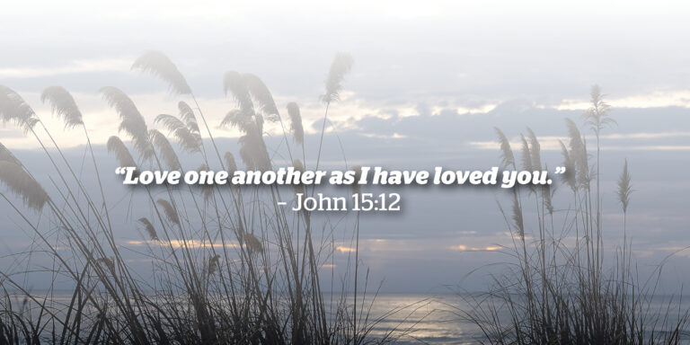 Hope for Christian unity in a festival of new life