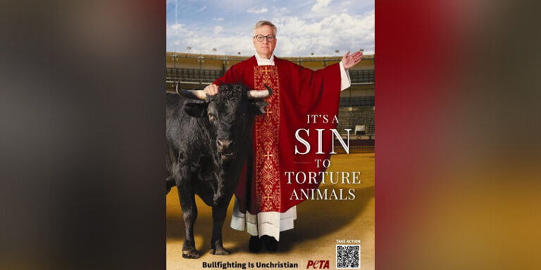 Priest asks Pope to denounce bullfighting