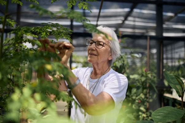 Brazilian Catholic nun honoured
