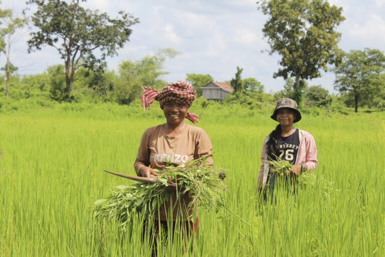 World Day of the Poor: A Call to Prayer and Action in the Pacific